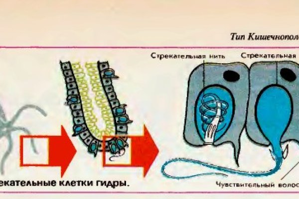 Кракен 12 сайт